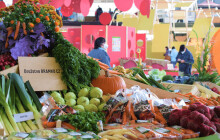 40 tun ovoce a zeleniny. Podzimní Flora láká na výzdobu, zahradnické trhy i festival gastronomie