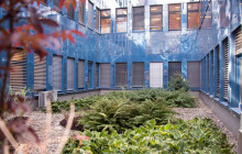 Japonské zahrady v nemocnici? Ve FNOL pomáhali i středoškoláci