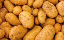 Zelináři varují před zdražováním zeleniny. Vyplatí se nákup do zásoby