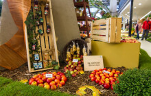 Regionální potraviny ocenil kraj. Kdo zabodoval?