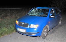 Jako na Divokém západě. Kůň způsobil dopravní nehodu