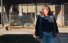 Žijeme převážně jen díky dárcům, říká ředitelka psího útulku Hana Dědochová