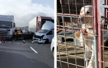 Highlighty týdne: Hromadná nehoda, vražda v Losinách a bagristova smůla