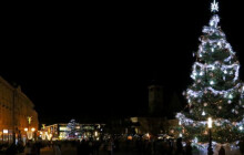 Města hledají jména pro vánoční stromy. Do anket se může zapojit každý