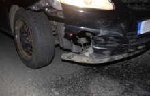 Divočáka srazila dvě auta, zvíře se otřepalo a zmizelo v polích