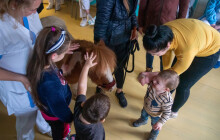 Svatý Martin do FNOL nepřijel, Martínek na poníkovi ale ano