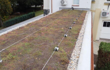 Šternberský dům dětí a mládeže se zazelená. Město dokončilo přestavbu