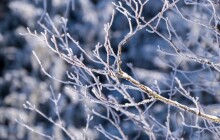 Prudké ochlazení. Víkend přinese teploty až -10 °C