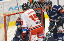 Kohouti bez bodu. Páteční zápas se jim nevydařil