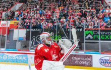 Kohouti potrhali liberecké Bílé tygry. Zápas věnovali dárcům krve