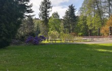 Výhled počasí. Letních teplot se ani o víkendu nedočkáme