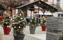 Stromky na náměstí zdobily děti. Podívejte se, jak se jim dařilo