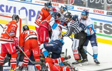 Mora s Libercem padla. Na kom si Kohouti mohu spravit chuť?