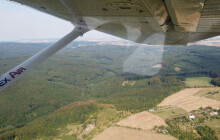 V arcibiskupských lesích se méně těžilo. Ztráty po kůrovci se daří nahrazovat