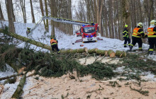 Popadané stromy, utržené střechy. Hasiči zasahovali u více než stovky událostí