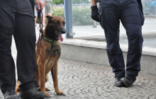 VIDEO: Pervitin, marihuana i tablety efedrinu. Od začátku roku zasahovali celníci už šestkrát