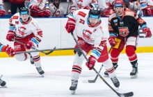 S Hradcem Králové drží Kohouti kladnou bilanci. O její udržení bude hrát zítra