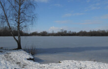 Na Poděbrady za řízky i vínem z Moravy. Jaké gastroakce se letos chystají?