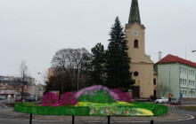 Tisíce květin mezi auty. Kruhový objezd rozkvete