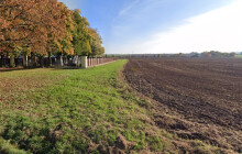 Město plánuje komunitní výsadbu. Které stromy si prostějovští zasadí?