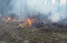 Highlighty týdne: Lesní požár na Olomoucku a rozhovor s Johnem Uličným