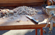 Nízká cena vepřového a rostoucí náklady. Zemědělci snížili stavy prasat