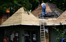 Olomoucká zoo loni investovala 38 milionů korun. Hlavně do regulace vod a safari