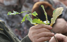 Zasaďte strom a město přispěje neziskovce Crosspoint. Lesní benefice pomůže dvakrát