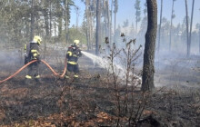 Na Olomoucku hořel les. Zasahovaly čtyři jednotky hasičů