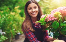 Koupíte květinu a podpoříte rodiny v krizi. Charita Olomouc zahajuje akci Dobrokvět