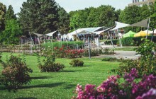 SOUTĚŽ: Do rozária se vrátí růže. Vyhrajte vstupenky na Vyznání růžím