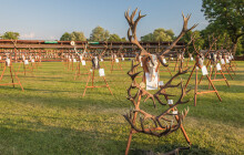 Libavá se otevírá návštěvníkům. Chystá se výstava trofejí i formanská jízda