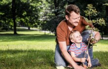 Máme na to rozkvést: Olomouckou zeleň oživí nové stromy i záhony