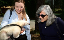 Mravenečník dostal jméno. Pojmenovala jej brazilská velvyslankyně