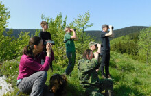 Objevili hnízdo jeřába. Amatéři pomáhali mapovat vzácné druhy