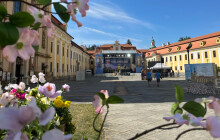 FOTOREPORT: Z Flory až na Velehrad. Prohlédněte si květinovou výzdobu