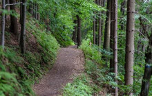 Sami si je navrhli, sami se o ně postarají. Město se dohodlo s bikery na nových trasách