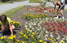 Skoro čtyři tisíce rostlin. Nová výsadba zdobí Smetanovy sady