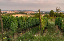 Přerovskou rozhlednu vyřeší nová pracovní skupina. Spojí dva návrhy