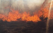 Sucho a požáry. Výstrahy a doporučení platí do odvolání