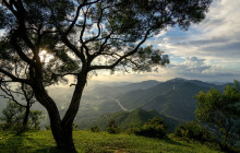 Kdo získá Cenu kraje v oblasti životního prostředí? Hlasovat můžete i vy