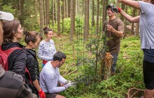 Dobrovolníci v Jeseníkách oplotili 200 stromků, aby je neokousali jeleni
