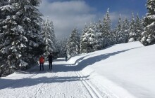 Běžkařská trasa Skřítek bojuje o cenu Olomouckého kraje. Podpoříte ji hlasem?