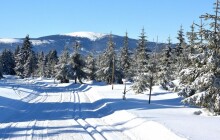 Běžkařská trasa v okolí chaty Paprsek soutěží v Cenách Olomouckého kraje