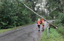 Déšť zaměstnává hasiče po celém kraji. Řeší spadané stromy a vodu ve sklepích