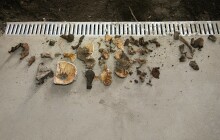 Při rekonstrukci domu našel lidské ostatky. Šlo o dva dospělé a dítě