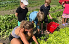 Předává dětem základy z oblasti životního prostředí. Získá krajské ocenění?