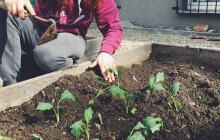 Město bude mít novou zahrádkářskou kolonii. Pojmout může až 90 zahrádek