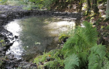 Dobrovolníci vybudovali tůňky nedaleko Konice. Teď bojují i o váš hlas