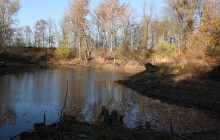 Vysázela aleje i sady. V Tovéři najdete i čolky